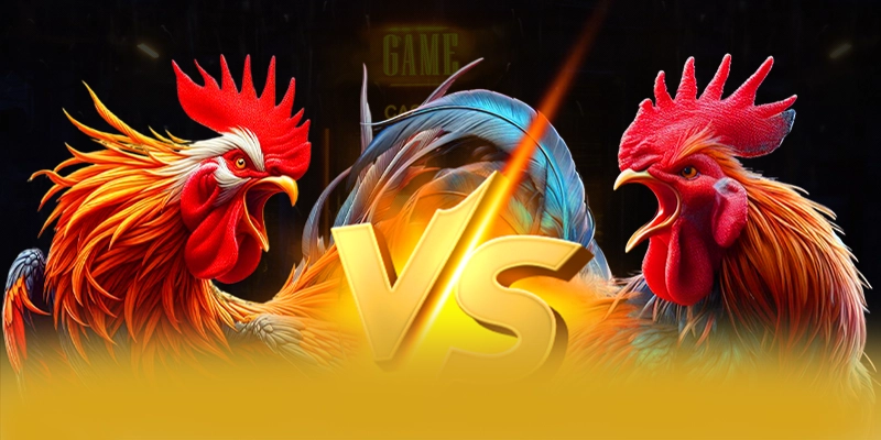 Phản hồi từ game thủ về W88 Phản hồi từ game thủ về W88