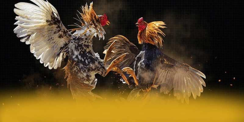 Đội ngũ hỗ trợ người chơi tại GOOD88