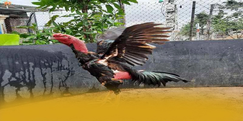 8XBET - Tổng kết một cách chi tiết. 8XBET - Tổng kết một cách chi tiết.